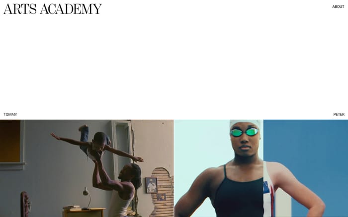 Academy website preview