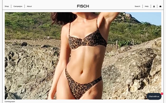 Fisch website preview