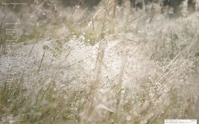 Field Studies Flora website preview