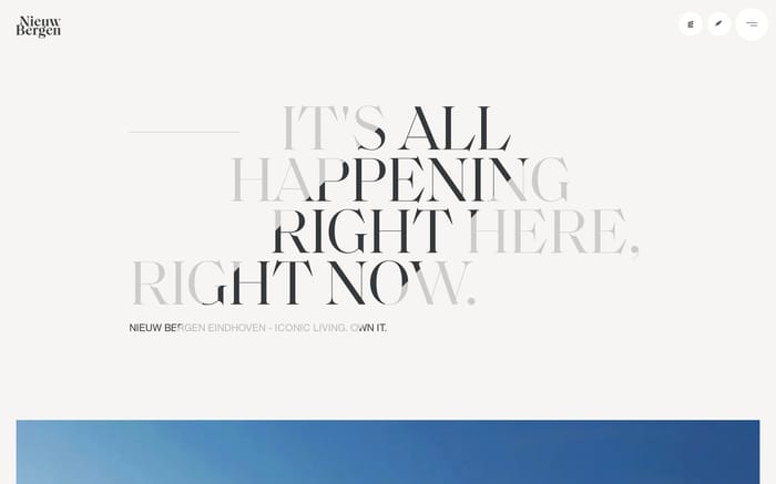 Nieuw Bergen website preview