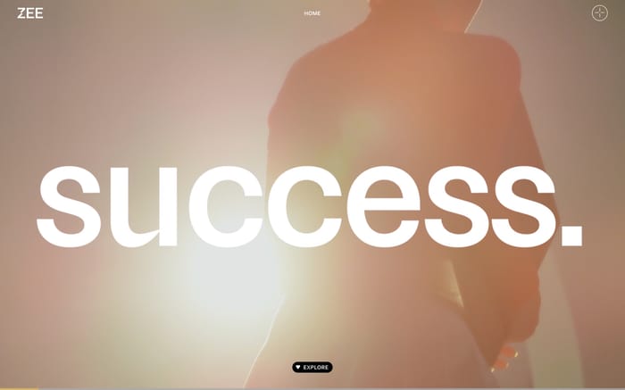 ZEE Agency website preview