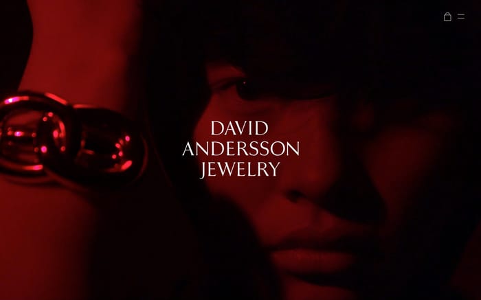 David Andersson website preview
