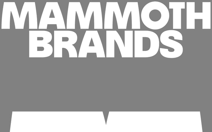 Mammoth Brands website preview
