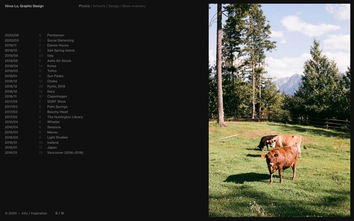 Vince Lo website preview