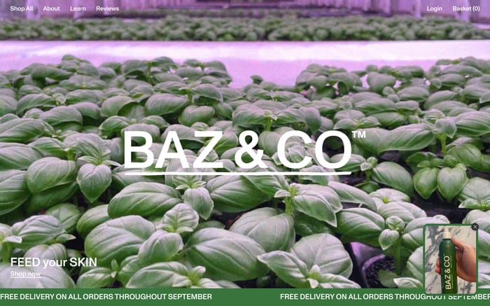 Baz & Co Skincare website preview
