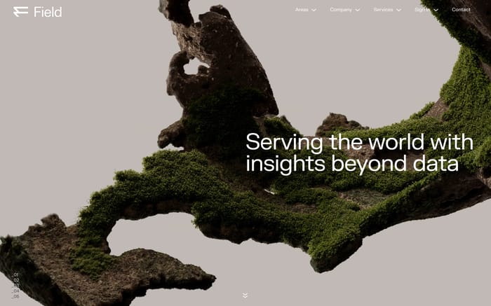 Field website preview