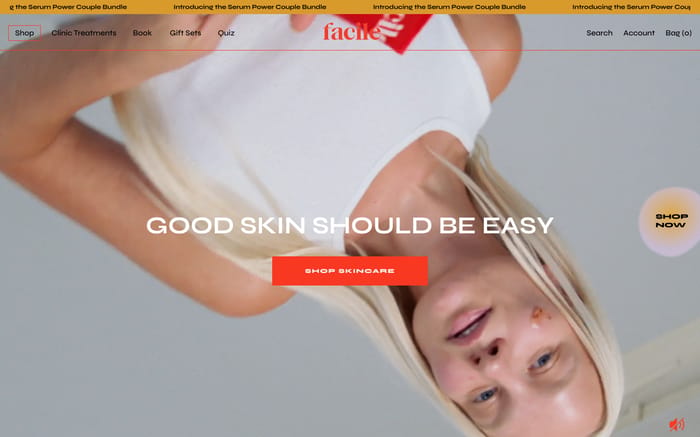 Facile skin website preview