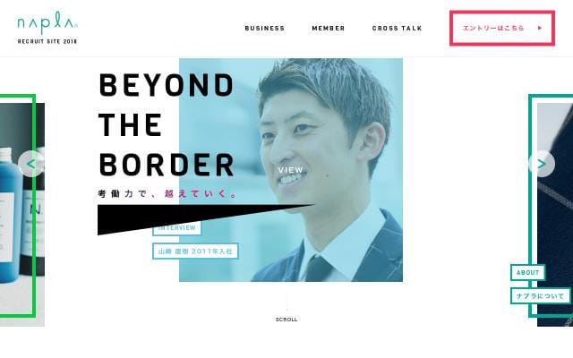 Napla website preview