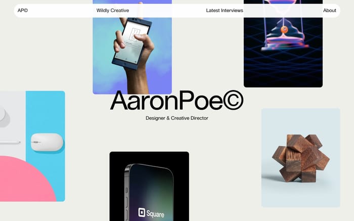 Aaron Poe & Co. website preview
