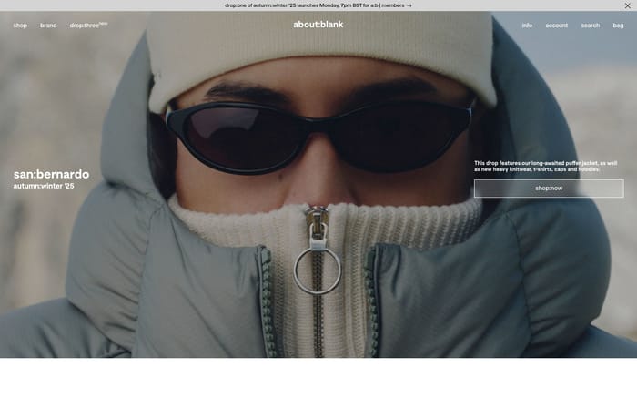 About Blank website preview