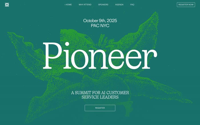 Pioneer by Fin website preview