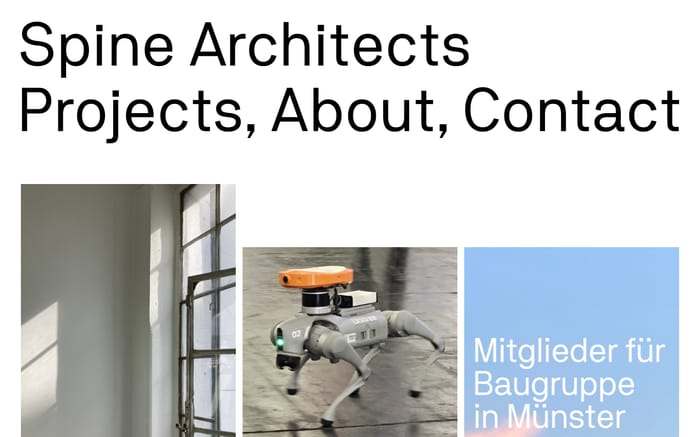 Spine architects website preview