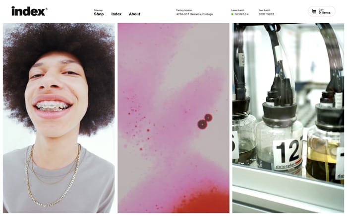 Index website preview