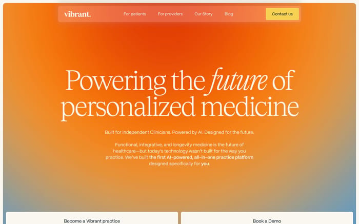 Vibrant website preview