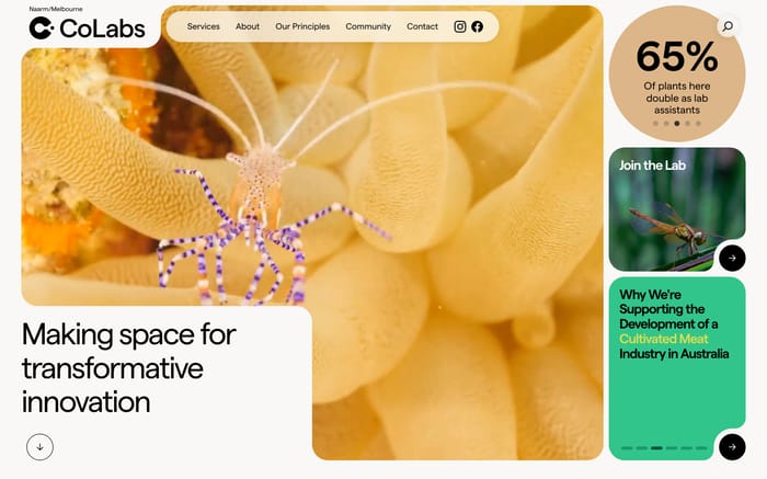 CoLabs website preview
