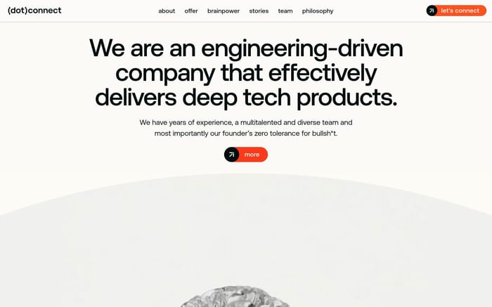 Dotconnect website preview