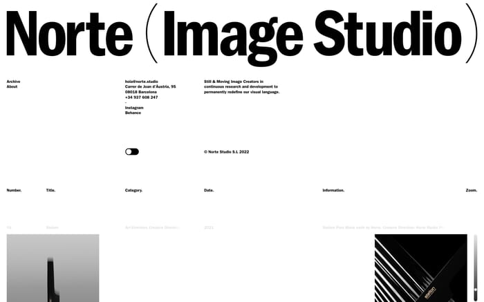 Norte website preview