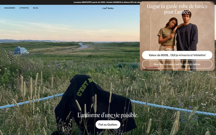 C'est beau website preview
