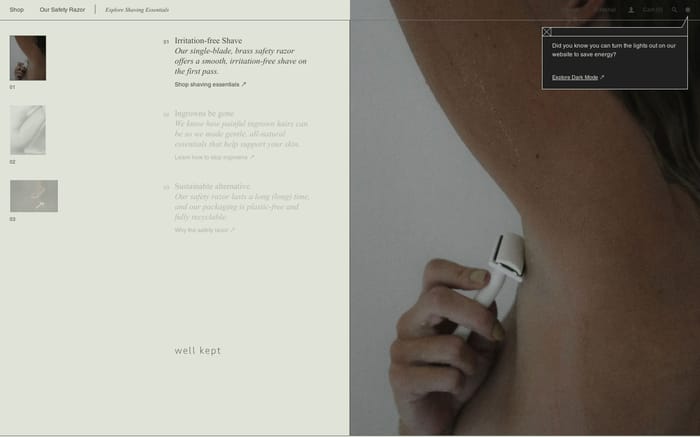 Well kept website preview