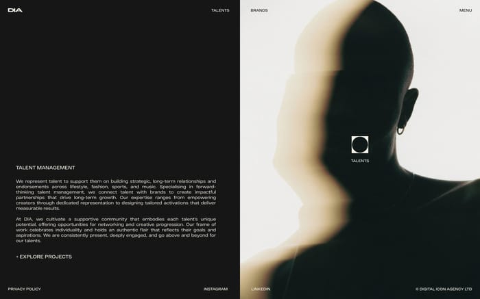 Digital Icon Agency website preview