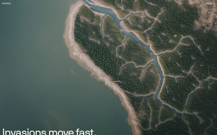 Inversa website preview