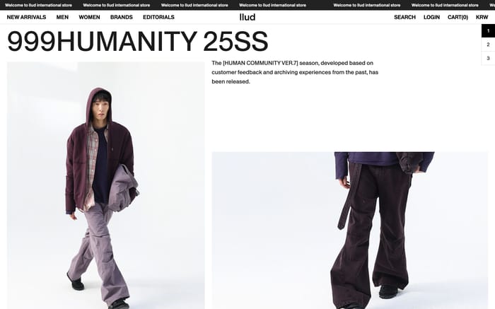 Llud website preview