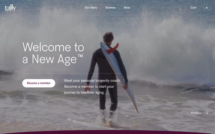 Tally Health website preview