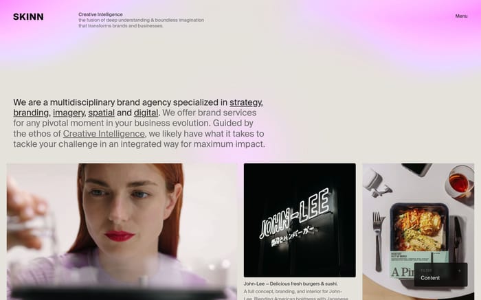 Skinn website preview