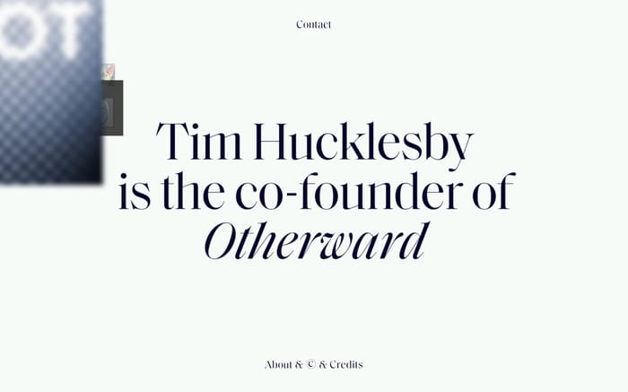 Tim Hucklesby website preview
