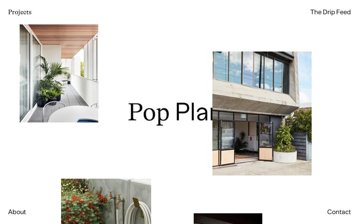 Pop Plant website preview