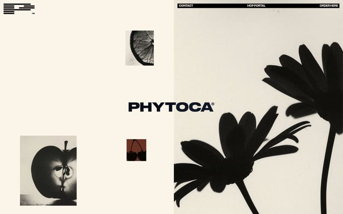 Phytoca website preview