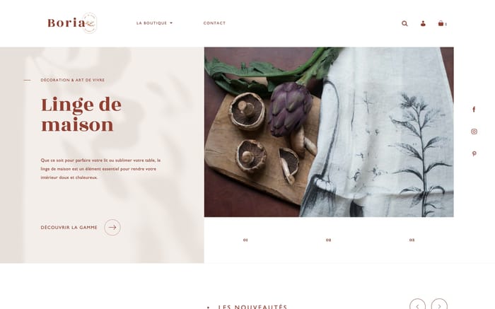 Boria website preview