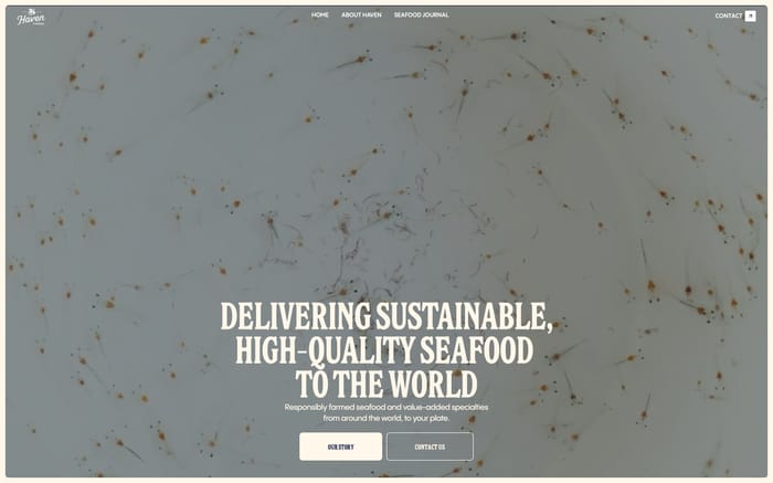 Haven Foods website preview