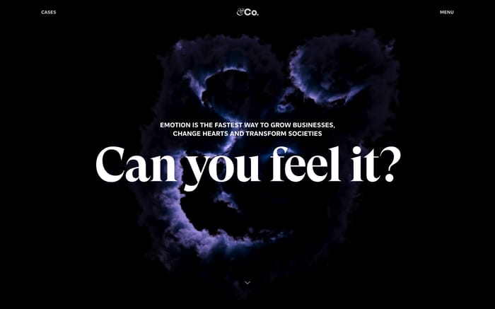 &Co website preview