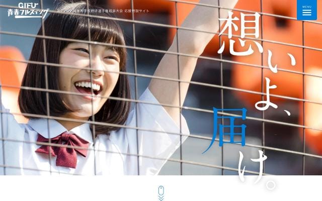 Gifu-aofull website preview
