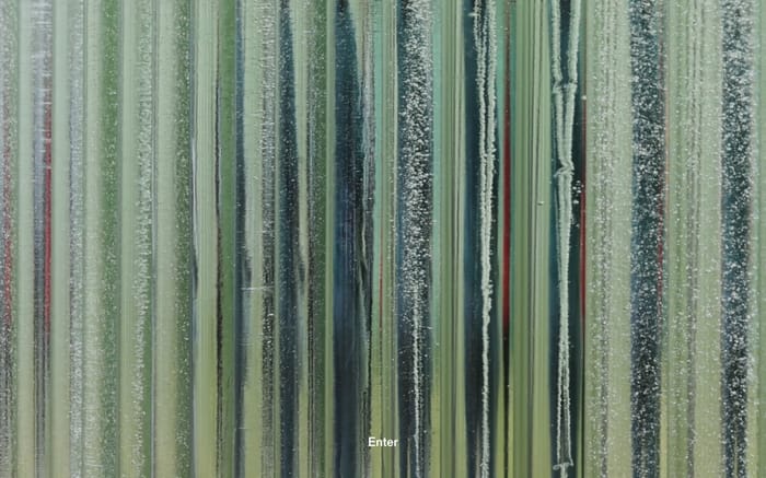 Mirage at Apple Park website preview