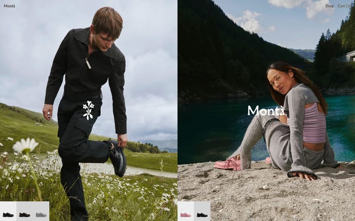 Monta website preview