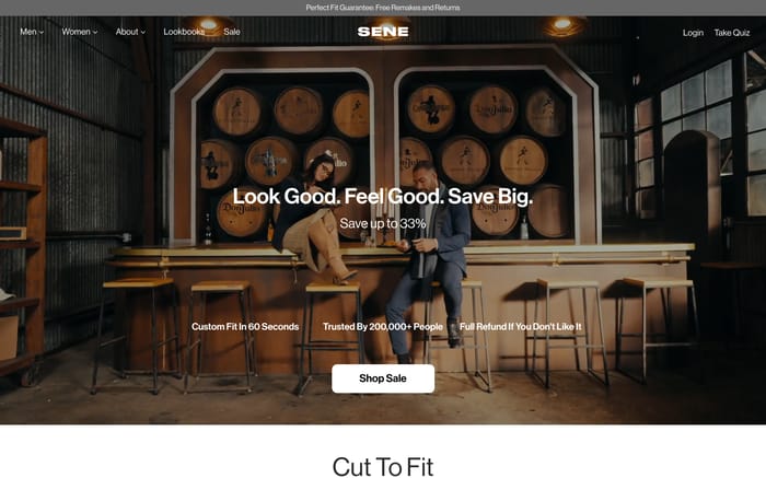 Sene website preview