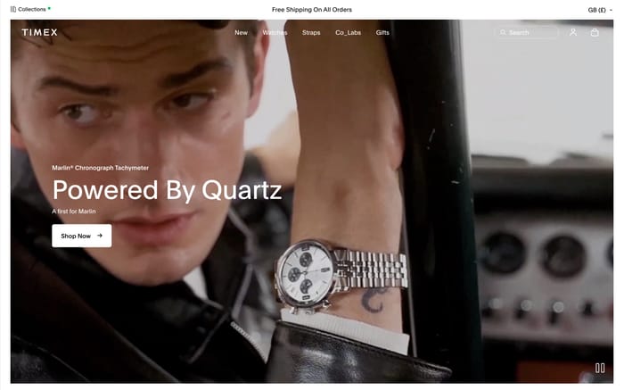 Timex website preview