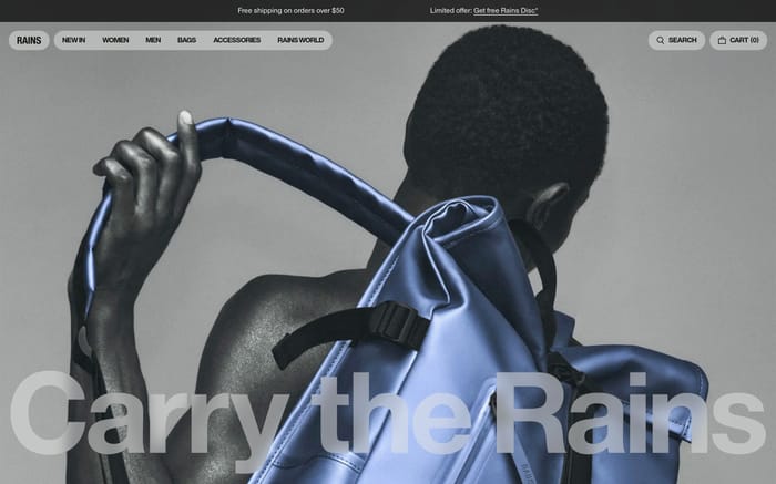 Rains website preview