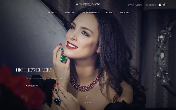 W. Salmoon & Sons | Home website preview