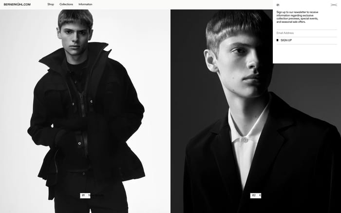 Berner Kühl website preview