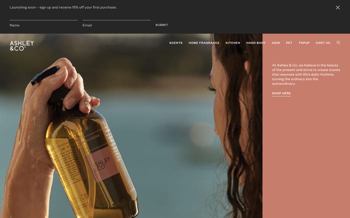 Ashley & Co website preview