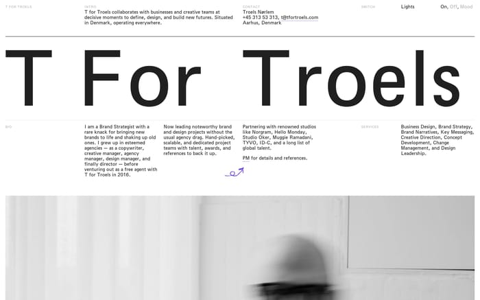 T For Troels website preview