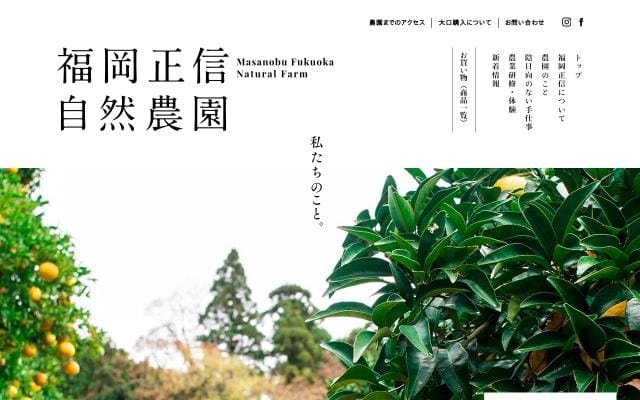 F-masanobu website preview