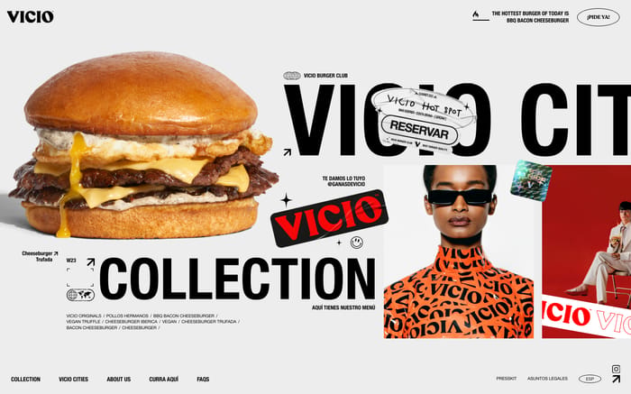 Vicio website preview
