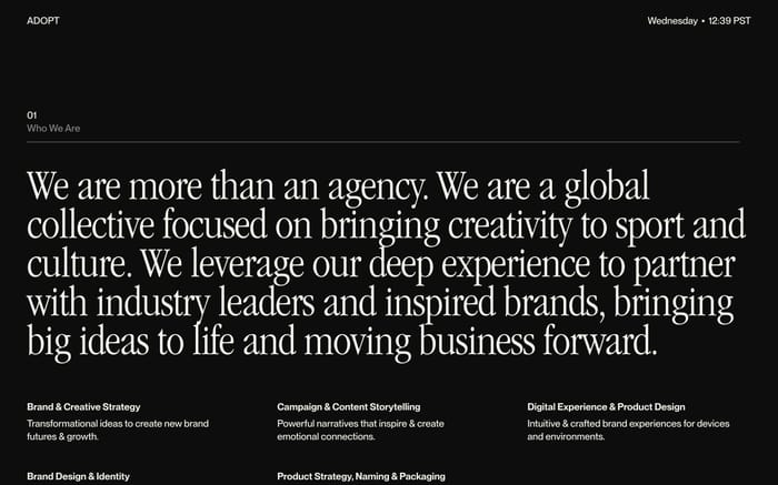 Adopt website preview