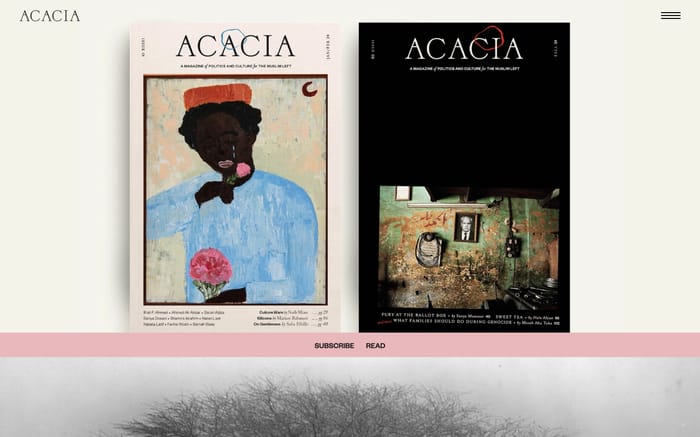 Acacia website preview
