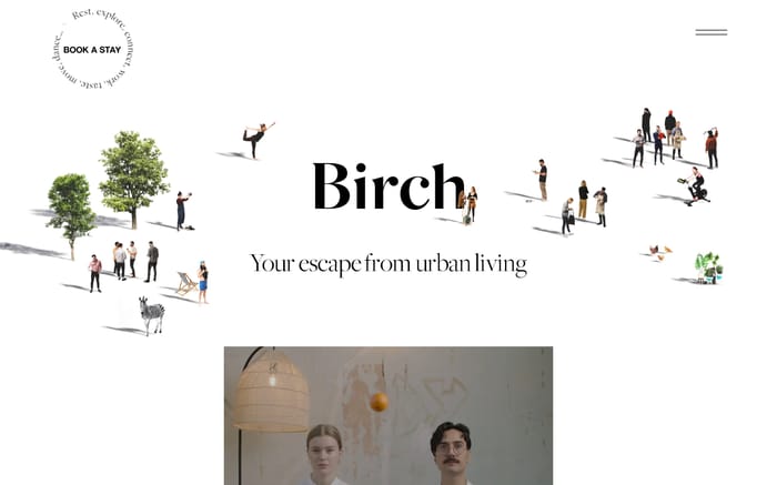 Birch website preview