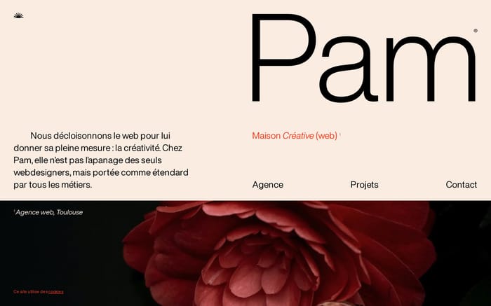 Pam website preview